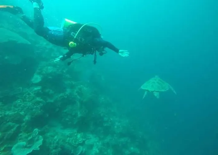 And Tours * Moalboal