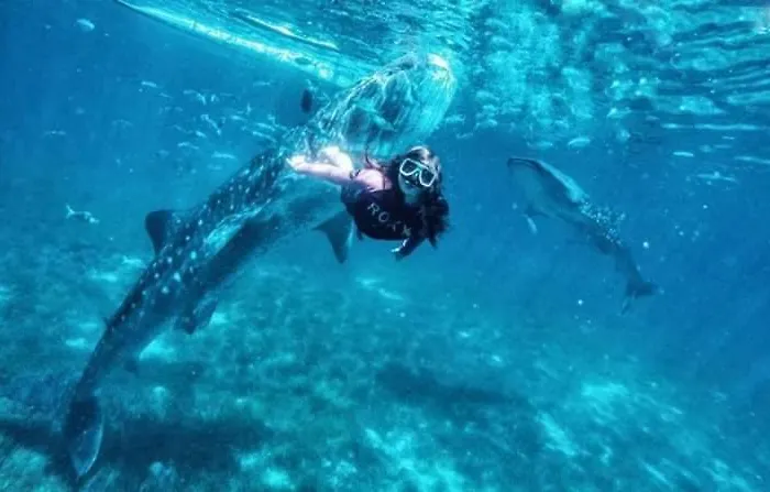 And Tours Moalboal